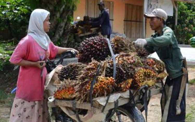 Wayan Supadno: Nasib Petani Sawit Swadaya Menggenaskan, Berbanding Terbalik dengan yang Dirasakan di Indonesia