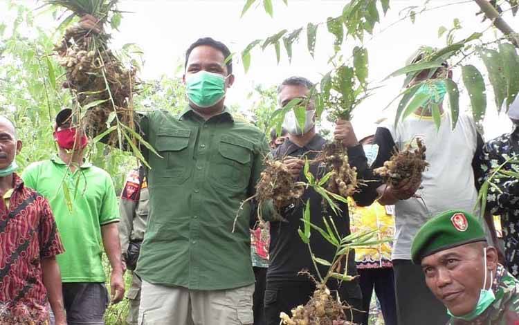Jahe Olahan Jadi Produk Unggulan