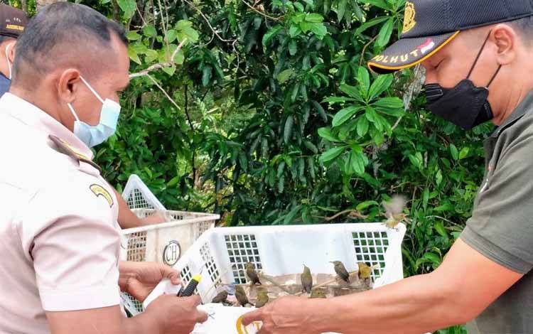 BKSDA dan Balai Karantina Amankan Gagalkan Penyelundupan Kolibri Ninja