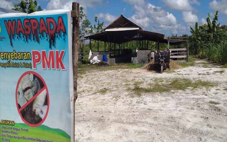 Lakukan Ini Untuk Cegah Penyebaran Penyakit Mulut dan Kuku