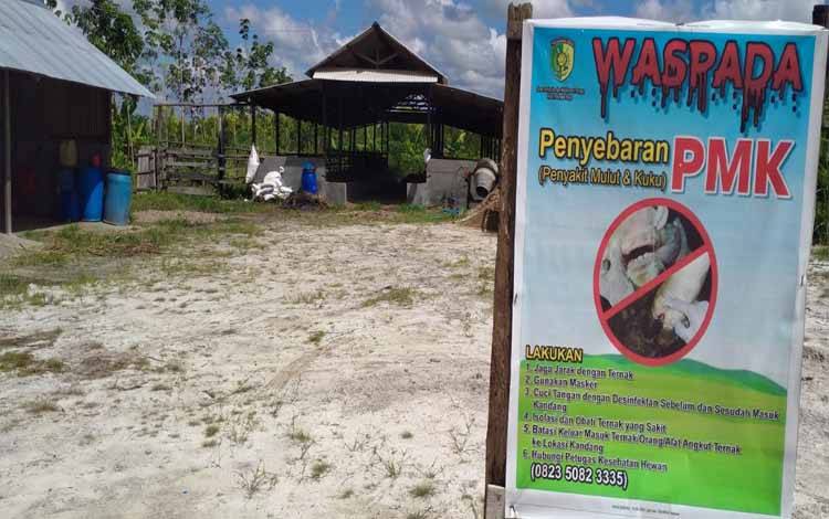 Vaksin PMK Terbatas, Dinas Utamakan Sapi Produktif