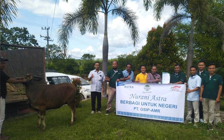 Sambut Iduladha 2022, PT GSIP-AMR Serahkan Hewan Kurban untuk Warga Desa Runtu