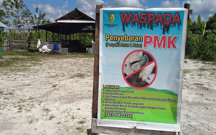 Swasembada Pangan Kalteng Terancam Jika PMK Tidak Segera Diatasi