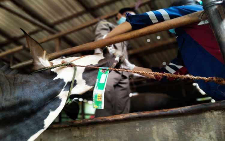Perdagangan Bebas, Negara Hanya Bisa Tolak Produk Luar dengan Alasan Penyakit