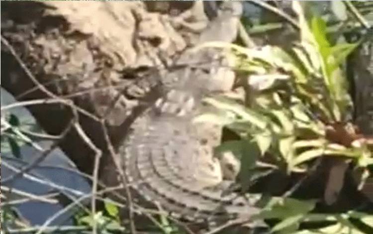 Warga Kotim Diimbau Kurangi Aktivitas Dekat Sungai