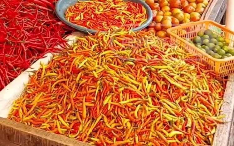 Harga Cabai Rawit Merah di Pangkalan Bun Berangsur Turun