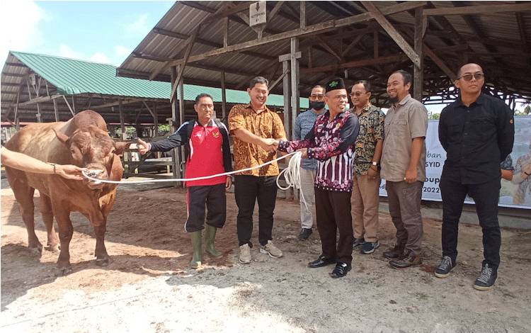 Keluarga Besar H. Abdul Rasyid AS dan Hj. Nuriyah Kembali Salurkan Hewan Kurban