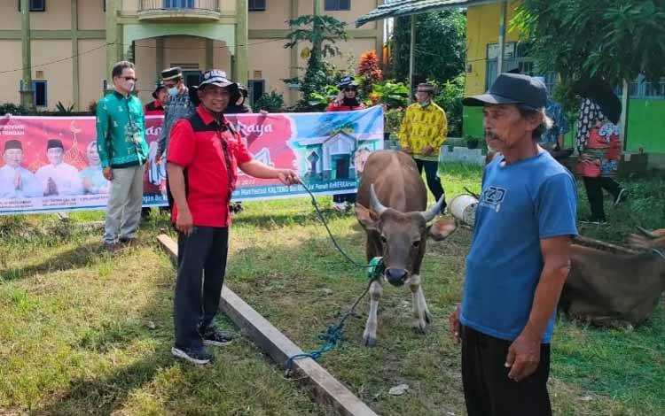 Pemprov Kalteng Salurkan 77 Sapi Kurban ke Kabupaten Kapuas