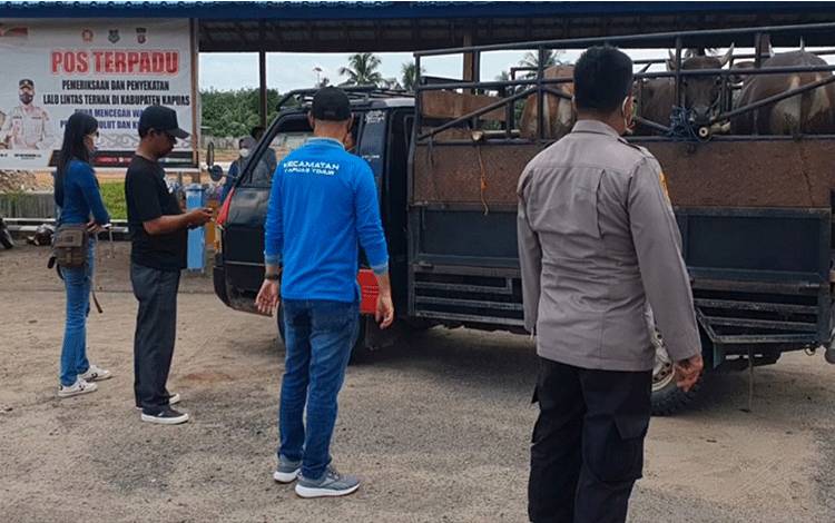 Cegah PMK, Kapuas Perketat Mobilisasi Ternak Lewat Penyekatan di Perbatasan