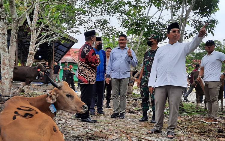 Dinilai Mampu Mandiri, Kobar Tidak Dapat Jatah Hewan Kurban dari Provinsi