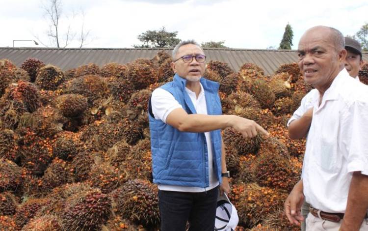 Mendag Minta Pabrik Beli Sawit Petani Minimal Rp 1.600 Per Kg