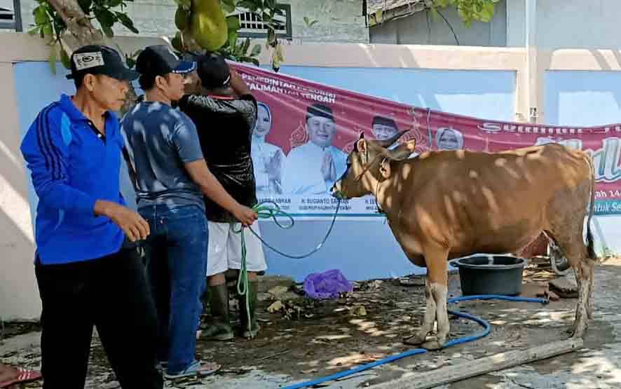 Masjid Agung Ar-Rahman Bagikan Daging Kurban ke 600 Keluarga