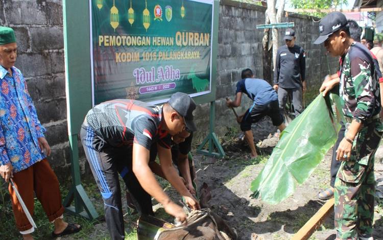Kodim Palangka Raya Potong 6 Hewan Kurban
