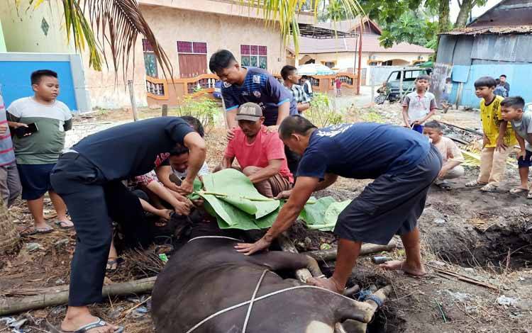 PCM Pahandut Laksanakan Ibadah Kurban, Bank Indonesia Sumbang Seekor Sapi
