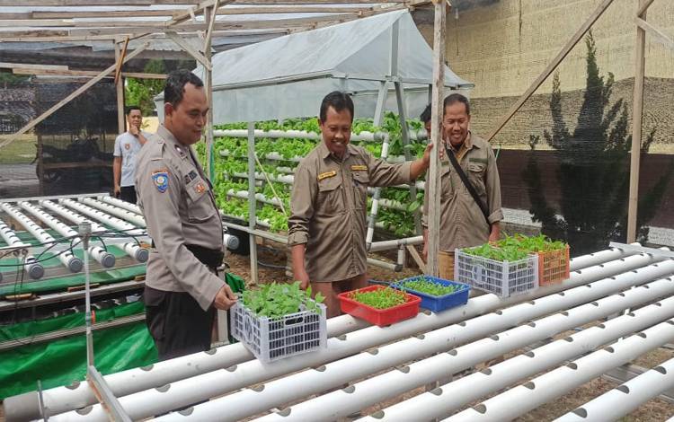 Polsek Pangkalan Banteng Kembangkan Tanaman Hidroponik