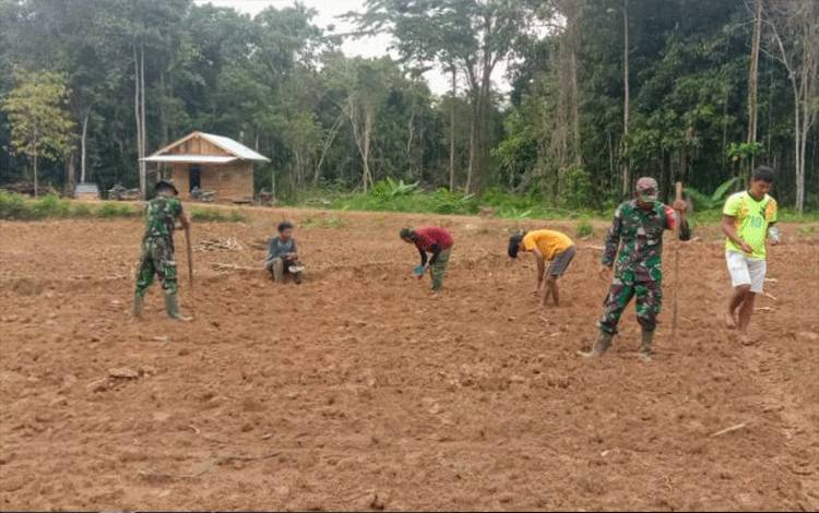 TNI Mencontohkan Pemanfaatan Lahan Tidur bagi Masyarakat Antang Kalang