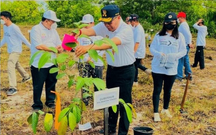 Pemprov Kalteng Tanam Pohon di Taman Nasional Sebangau