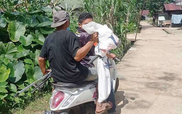 Relawan Samuja Evakuasi Ular Kobra Masuk Pemukiman