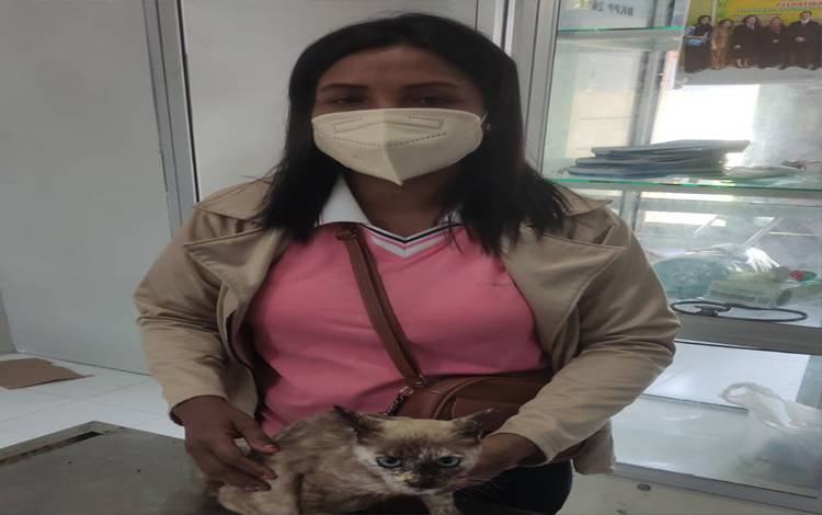 Ini Cara Mudah Vaksinasi Rabies Hewan Kesayangan