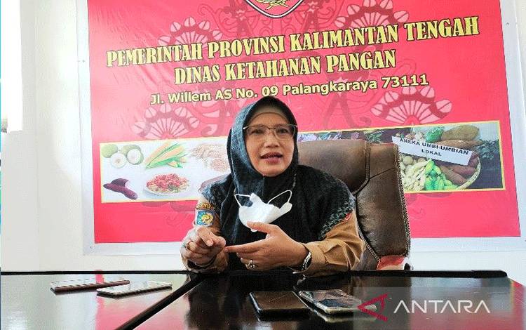 Cadangan Beras Kalteng untuk Penanganan Bencana Tersedia 66 Ribu Ton