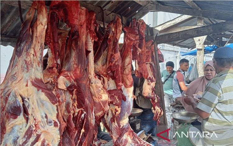 Upaya Mengamankan Stok Daging di Tengah Wabah