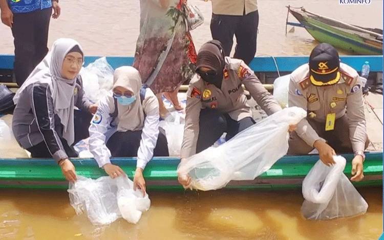 65 Ribu Bibit Ikan Dilepaskan di Perairan Kameloh Baru