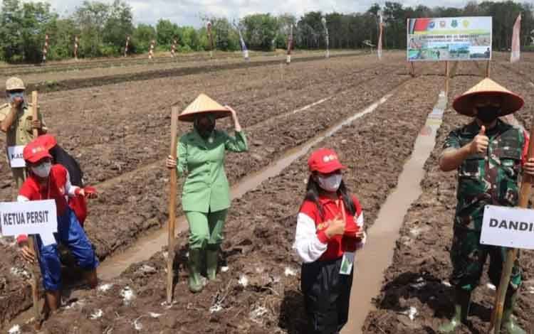 Demplot Penanaman Jagung di Desa Sidomulyo Dukung Ketahanan Pangan