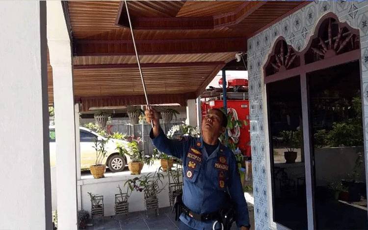 Waspadai Munculnya Reptil Berbahaya Akibat Lingkungan Kurang Sehat
