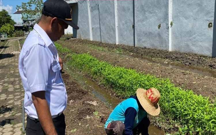 Rutan Kapuas Beri Pembinaan Hortikultura dan Manfaatkan Lahan Tidur Tanam Bibit Cabai
