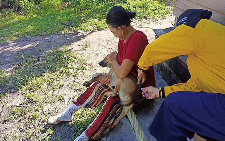 Terlambat Ditangani, Rabies pada Manusia Bisa Sebabkan Kematian