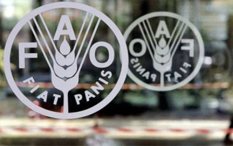 Harga Pangan Dunia Turun, Ekspor Biji-Bijian Ukraina Dimulai Kembali