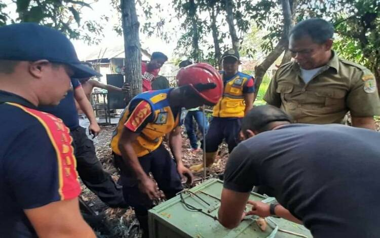Damkar Berhasil Amankan Monyet Liar