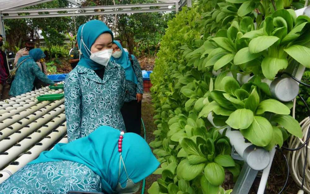 Ketua TP-PKK Palangka Raya Ajak Warga Kreatif Kelola Lahan Kosong