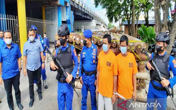Ditpolairud Polda Kalsel Sita 394 Layu Log Hasil Perambahan Hutan di Kalteng