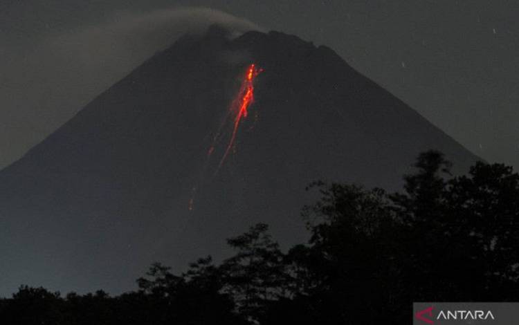 Guguran Lava Meluncur 43 Kali dari Gunung Merapi Selama Sepekan