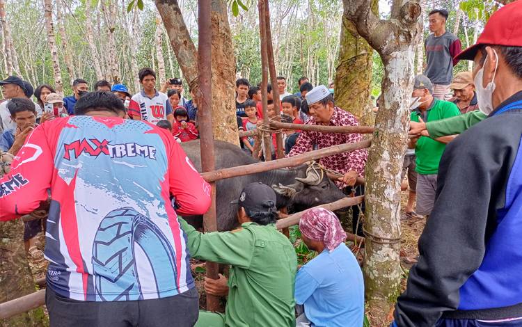 Miliki Pasar Desa, Status Dorong Meningkat Jadi Desa Maju