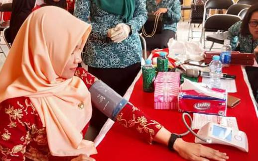 Anggota TP PKK Kecamatan Kamipang Ikuti Soaialisasi Kesehatan dan Reproduksi Wanita