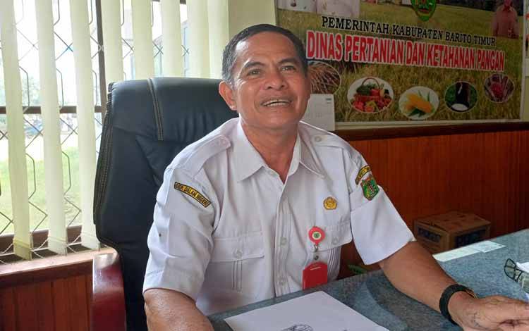 Pemkab Barito Timur Mulai Pengembangan Sawit Masyarakat Seluas 800 Hektare