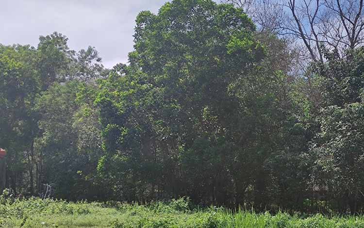 Kendalikan Perubahan Iklim Dengan Kurangi Emisi