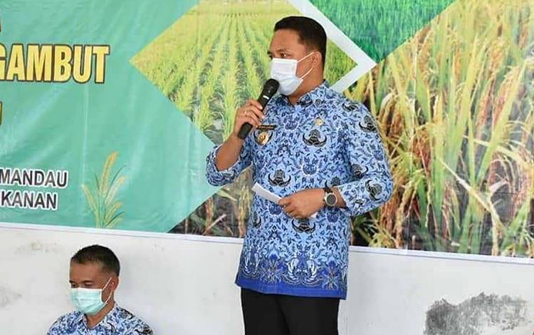 Pacu Produksi Padi melalui Peningkatan SDM