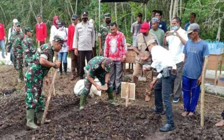Penanaman Jagung Manfaatkan Lahan Tidur di Desa Bungai Jaya Dukung Ketahanan Pangan