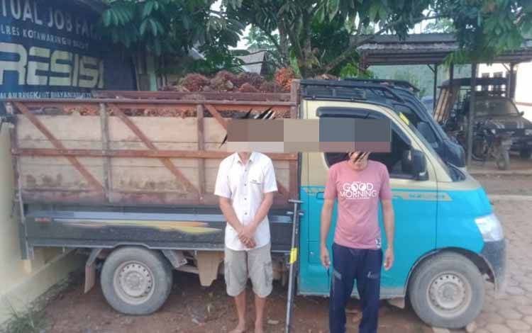 Harga Mulai Naik, Pencurian Buah Sawit di Aruta kembali Meningkat