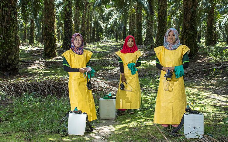 Total Aset SSMS Hingga 30 Juni Naik 2,79 Persen Mencapai Rp14,23 Triliun