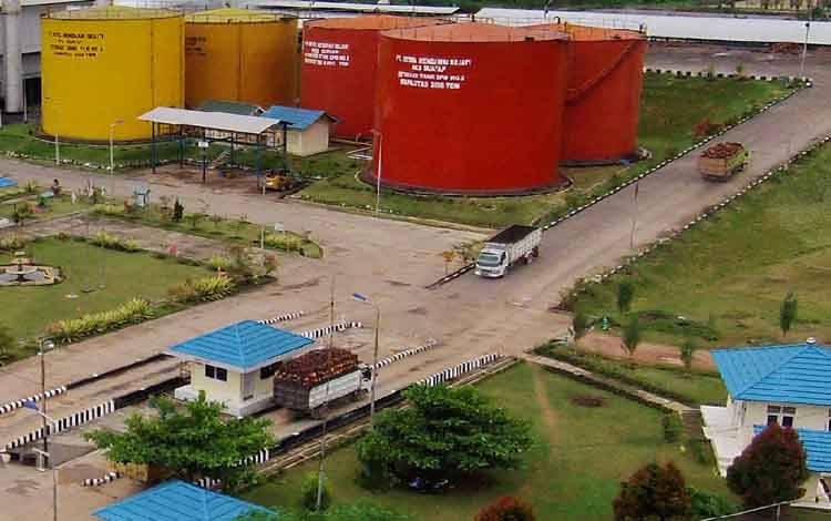 SSMS Perkuat Komitmen Penerapan Praktik Sawit Berkelanjutan Melalui Sertifikasi ISPO