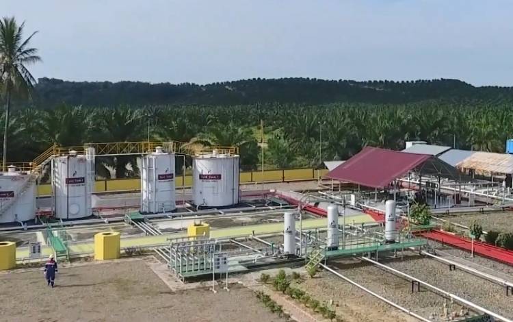 Impor Kalteng Naik 8,23 Persen