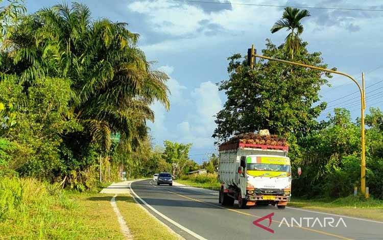Pertamina: Angkutan Industri Sawit Wajib Gunakan BBM Nonsubsidi