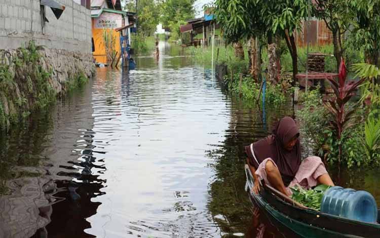 Masyarakat Palangka Raya Terdampak Banjir Harapkan Bantuan Pemerintah