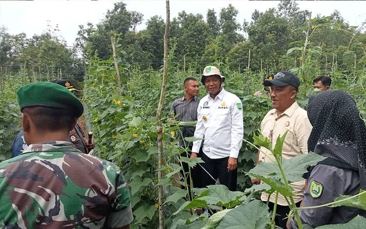 DKPP Sukamara Maksimalkan KWT untuk Menanam Sayur