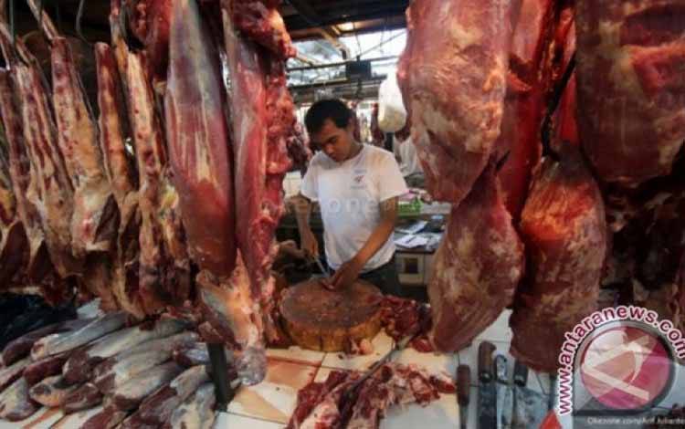 Jelilah Memilih Bahan Makanan