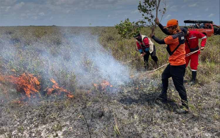 Hanya Beberapa Hari Tidak Hujan, 10 Hektare Lahan di Ujung Pandaran Terbakar?